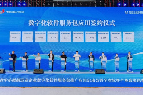 數(shù)字賦能 智造未來 安徽省中小微制造業(yè)企業(yè)數(shù)字化軟件服務包推廣應用在馬鞍山啟動